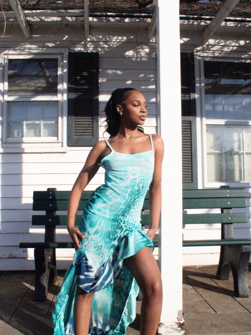 Chat Dress